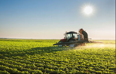 Valor das exportações do Agronegócio cai em novembro Valor das exportações do Agronegócio cai em novembro