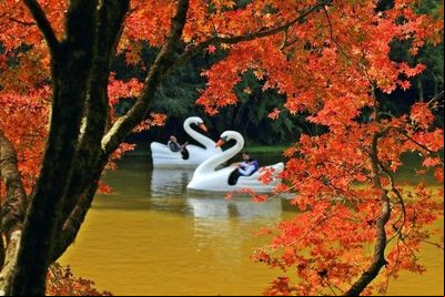 Festival da Primavera, de Nova Petrópolis, promove concurso fotográfico