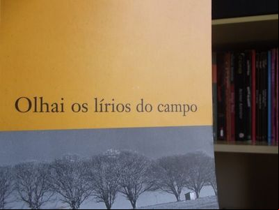 Ufrgs sediará mostra 'Olhai os Lírios do Campo 80 anos' Ufrgs sediará mostra 'Olhai os Lírios do Campo 80 anos'