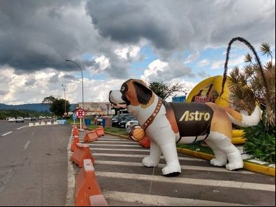 Campanha 'Guarda Responsável', contra o abandono de animais, tem ação durante o Carnaval Campanha 'Guarda Responsável', contra o abandono de animais, tem ação durante o Carnaval