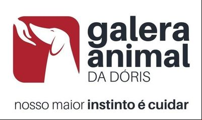 Alunos da UPF criam campanha publicitária para ONG que ajuda cães de rua Alunos da UPF criam campanha publicitária para ONG que ajuda cães de rua