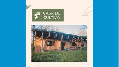 Cultivo terá casa nova, em meio a uma agrofloresta Cultivo terá casa nova, em meio a uma agrofloresta