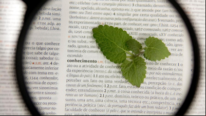 Revistas da Univates somam mais de um milhão de visualizações Revistas da Univates somam mais de um milhão de visualizações