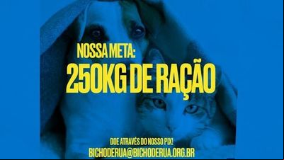 Alunos da ESPM-Sul criam campanha em prol da causa animal Alunos da ESPM-Sul criam campanha em prol da causa animal