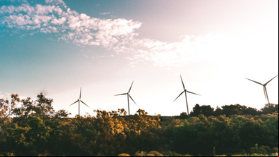 Banrisul apoia movimento para estratégias de sustentabilidade Banrisul apoia movimento para estratégias de sustentabilidade