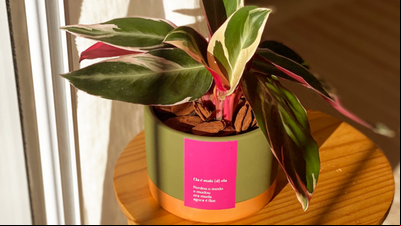 Projeto Palavras Brincadas desenvolve linha de produtos com a Terracota Projeto Palavras Brincadas desenvolve linha de produtos com a Terracota