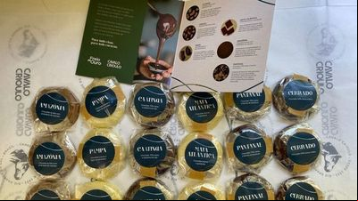 Agência de Pelotas promove estratégias de projeção da marca Cavalo Crioulo Agência de Pelotas promove estratégias de projeção da marca Cavalo Crioulo